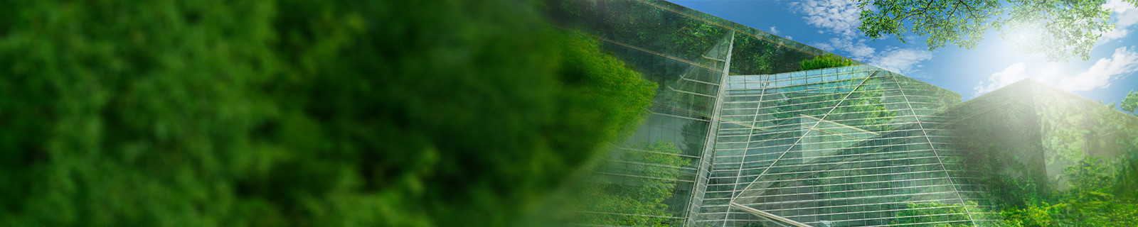 green finance